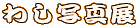 �킵�ʐ^�W
